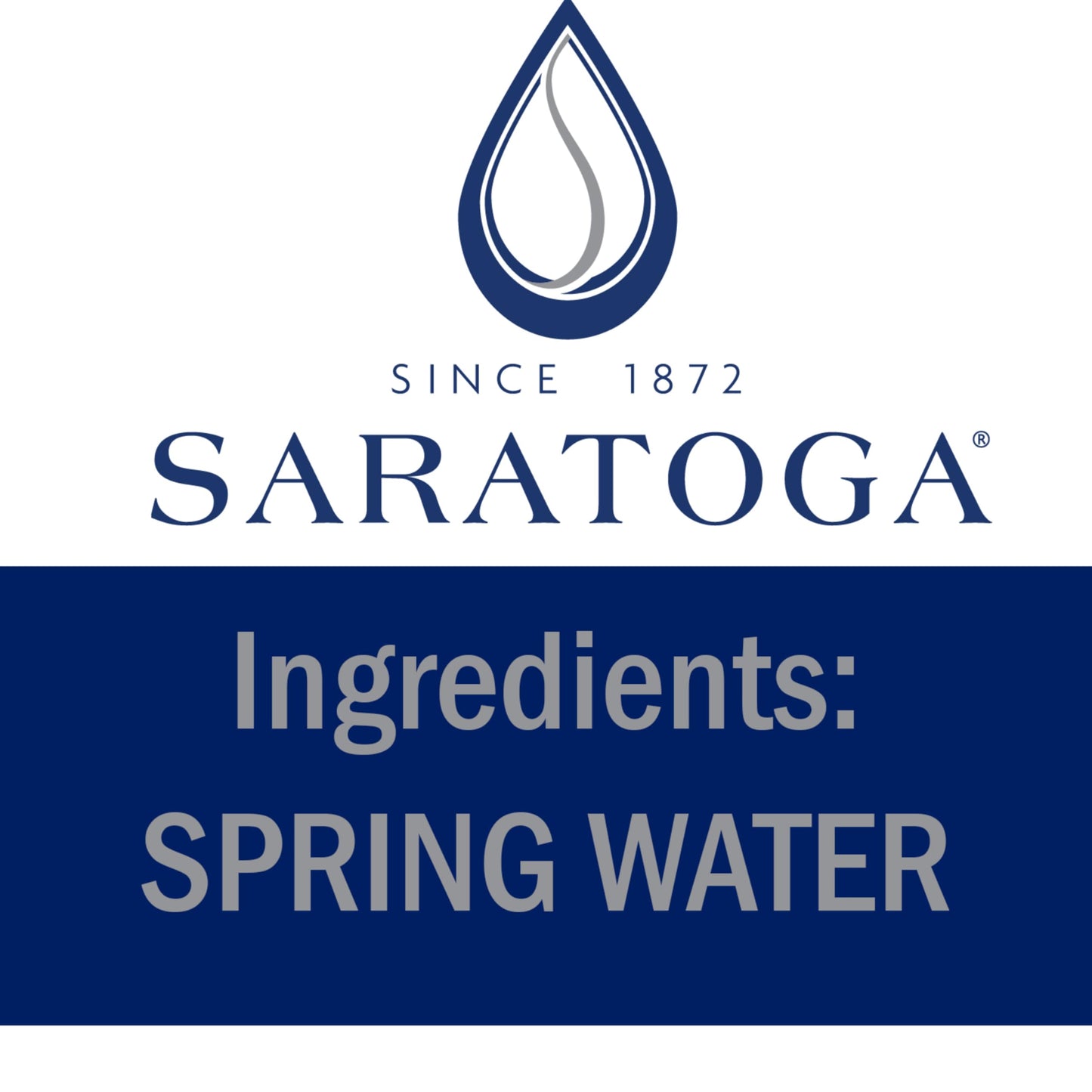 Saratoga Sparkling Water Bottles, 12-Pack - Carbonated Spring Bottled Water with Naturally Occurring Minerals & Electrolytes - Recycled PET Plastic Bottles - 28 Fl Oz
